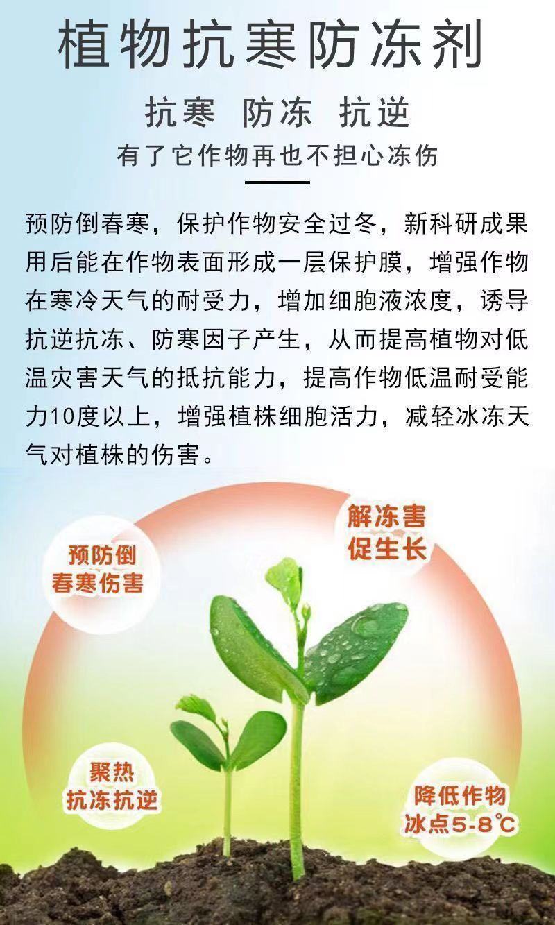 植物防冻剂叶面肥果树蔬菜苗木大棚防冻液倒春寒霜防寒抗寒抗