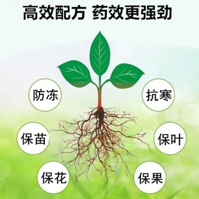 植物防冻剂叶面肥果树蔬菜苗木大棚防冻液倒春寒霜防寒抗寒抗