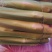 【精品茭白】浙江丽水美人茭茭白产地直发质量保证全国发货