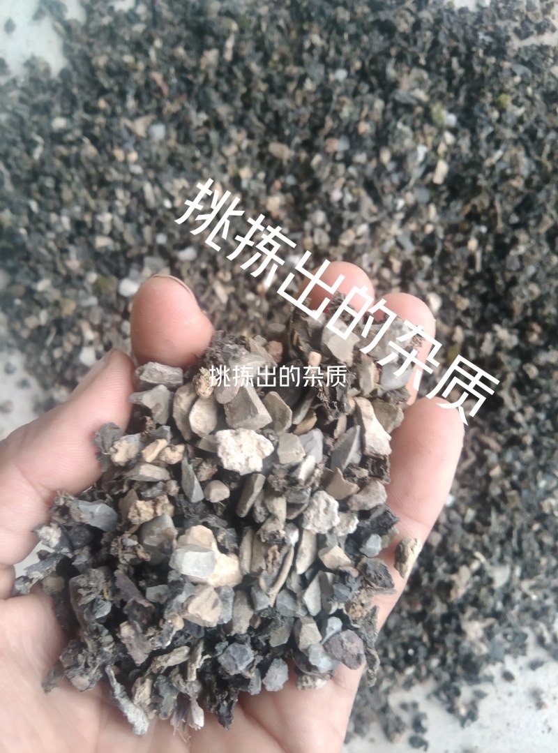 《地皮菜》野生地皮菜/多次过筛收选干净无杂，电商货，泡货