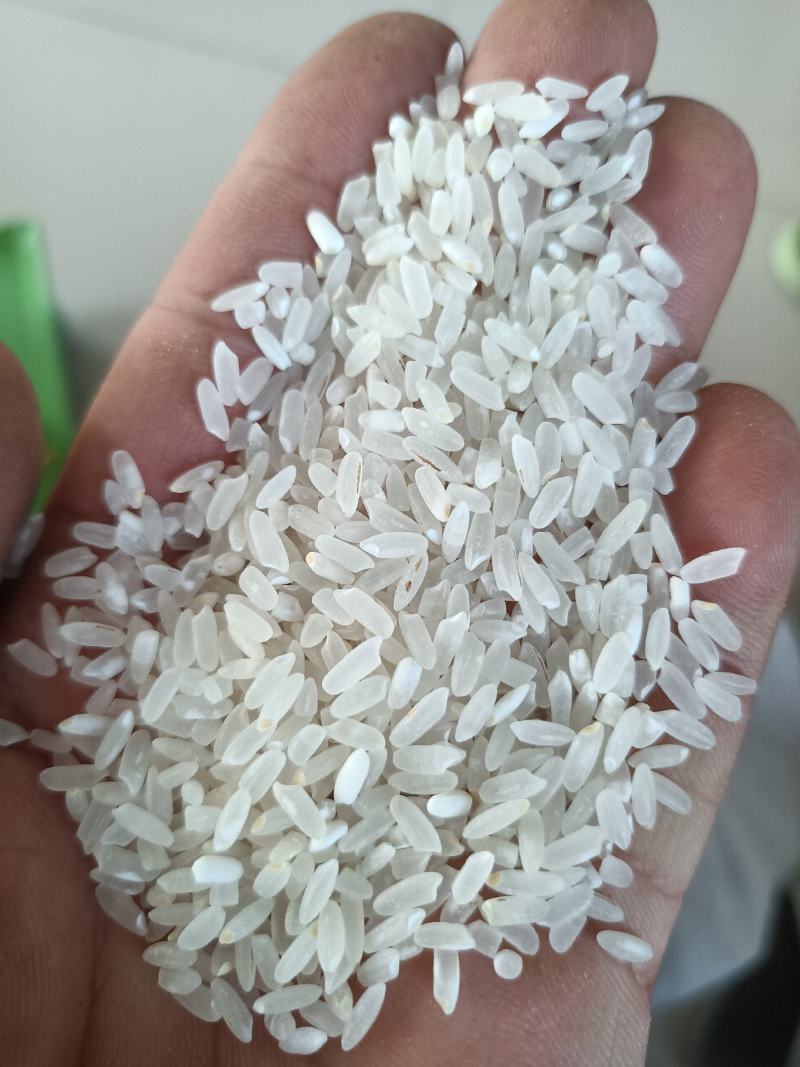 【热卖中】新品五常大米稻花香二号保真保纯五常基地直供