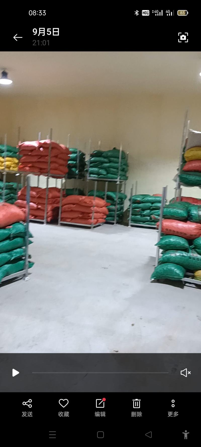 邢台板栗3113颗粒饱满粉糯甘甜产地直发