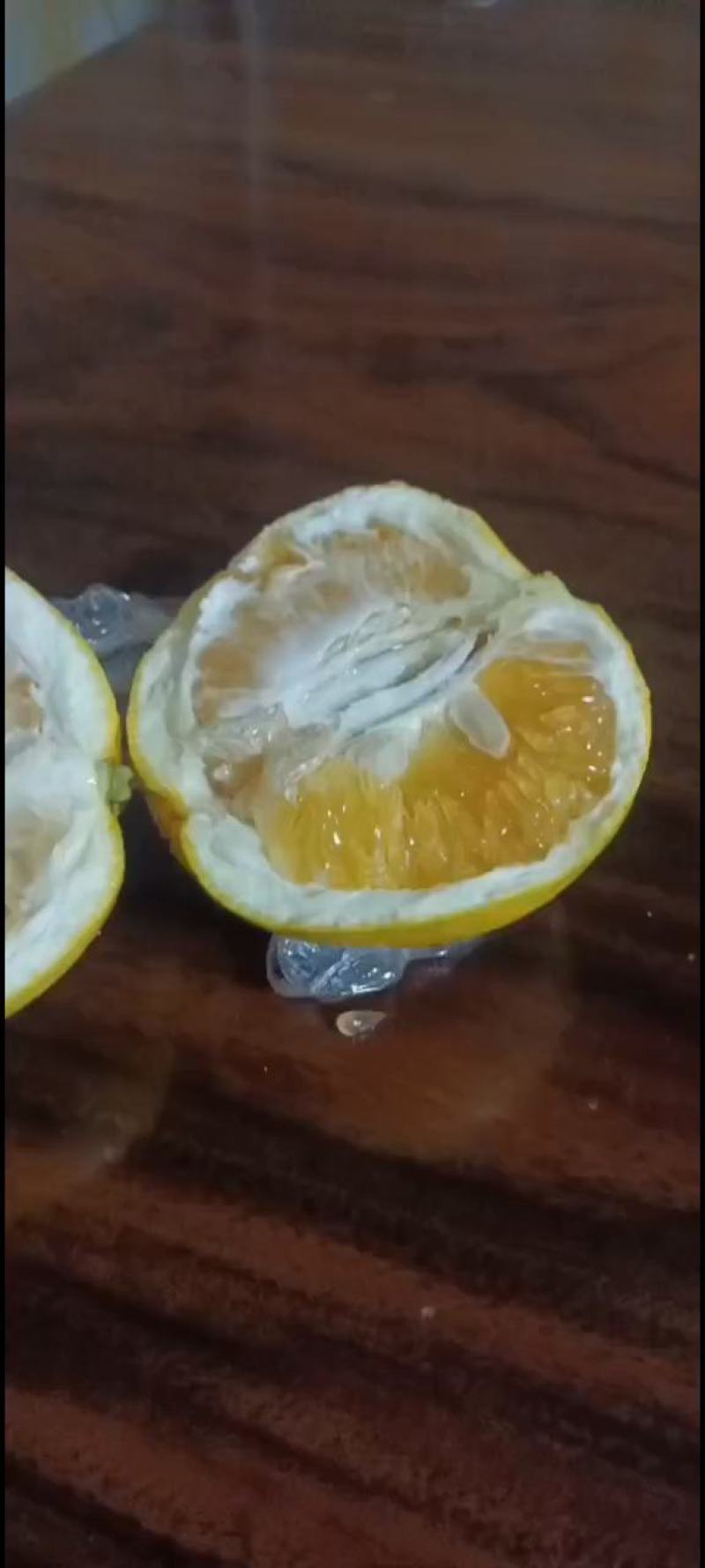 平和葡萄柚产地直发