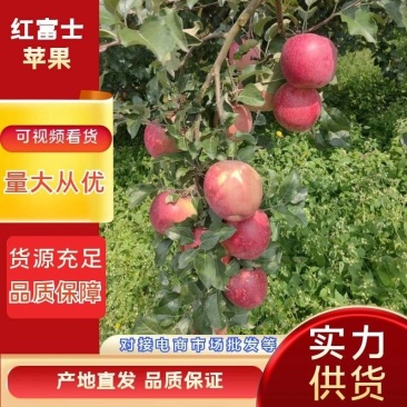 汉源糖心红富士口感脆甜，诚信经营诚信代办
