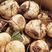 地瓜豆薯产地一手货源现挖现装保质保量欢迎来电订购