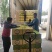 夏威夷果特大果品质可以新疆发货