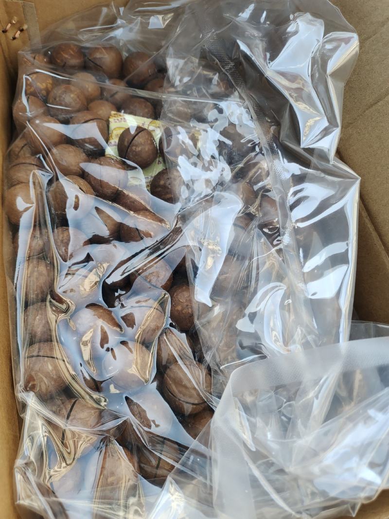夏威夷果特大果品质可以新疆发货