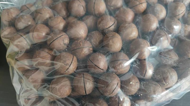 夏威夷果特大果品质可以新疆发货