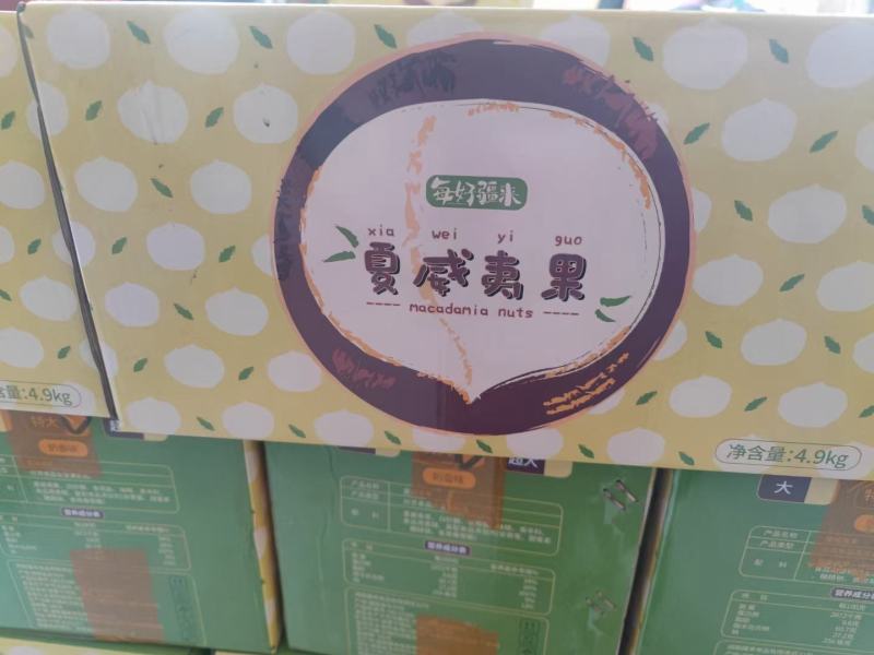 夏威夷果特大果品质可以新疆发货