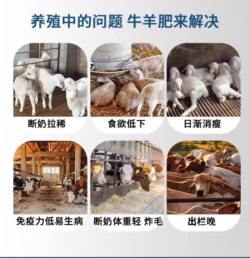 普旺牛羊肥速肥增重猛长上膘长肉拉大骨架提前出栏饲料添加剂