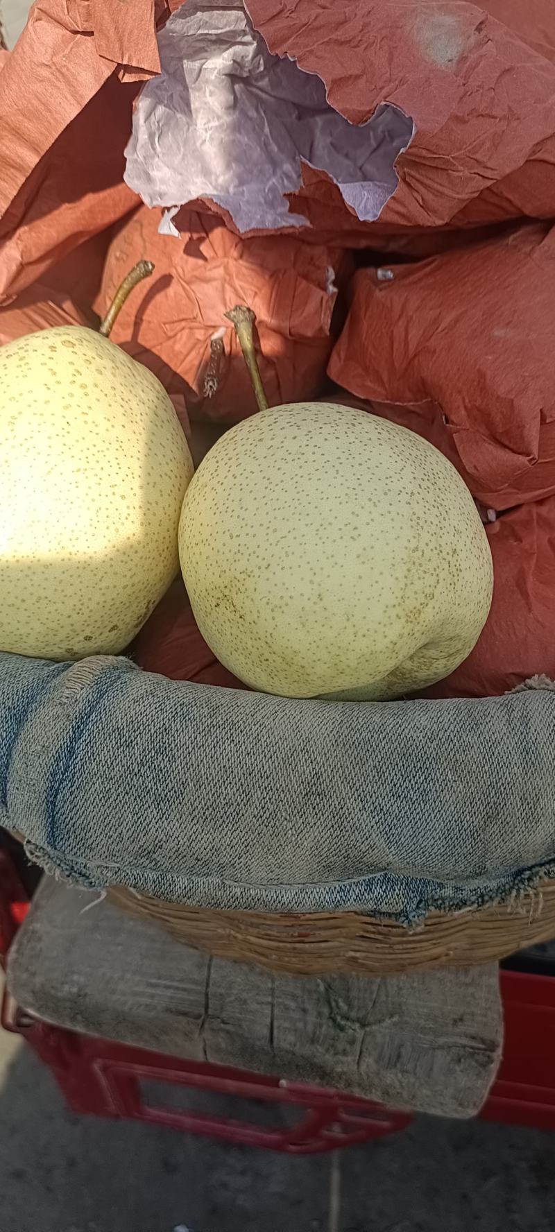 早酥梨，支持视频看货，陕西酥梨，甜美多汁，皮薄量大