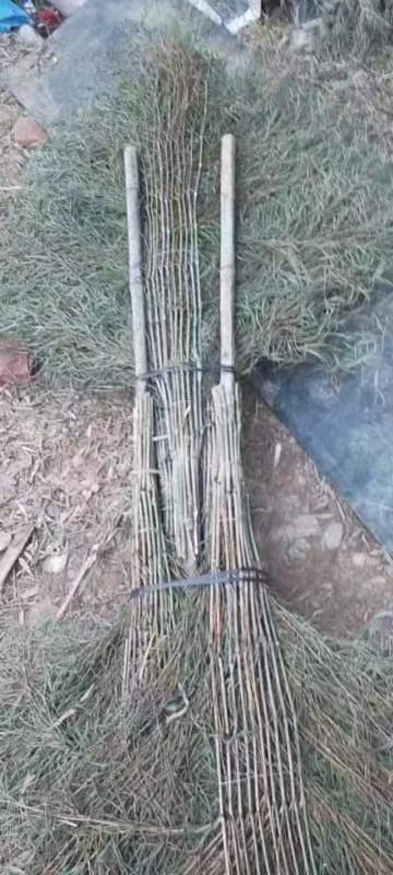 湖北咸宁扫把，纯手工竹扫把，环卫家用工厂学校大扫把，扫帚