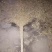 湖北咸宁扫把，纯手工竹扫把，环卫家用工厂学校大扫把，扫帚