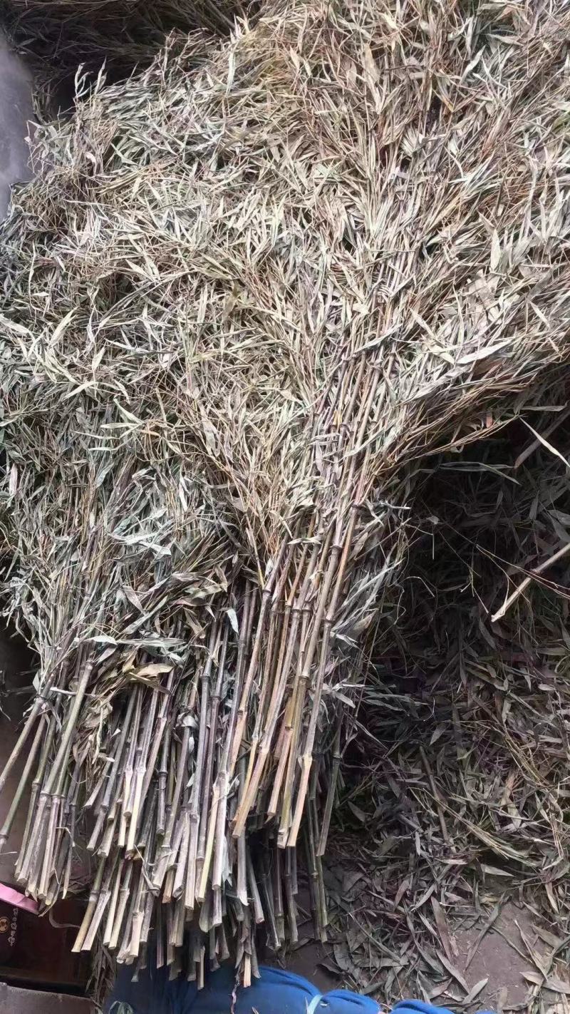 湖北咸宁扫把，纯手工竹扫把，环卫家用工厂学校大扫把，扫帚