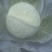 圆包菜