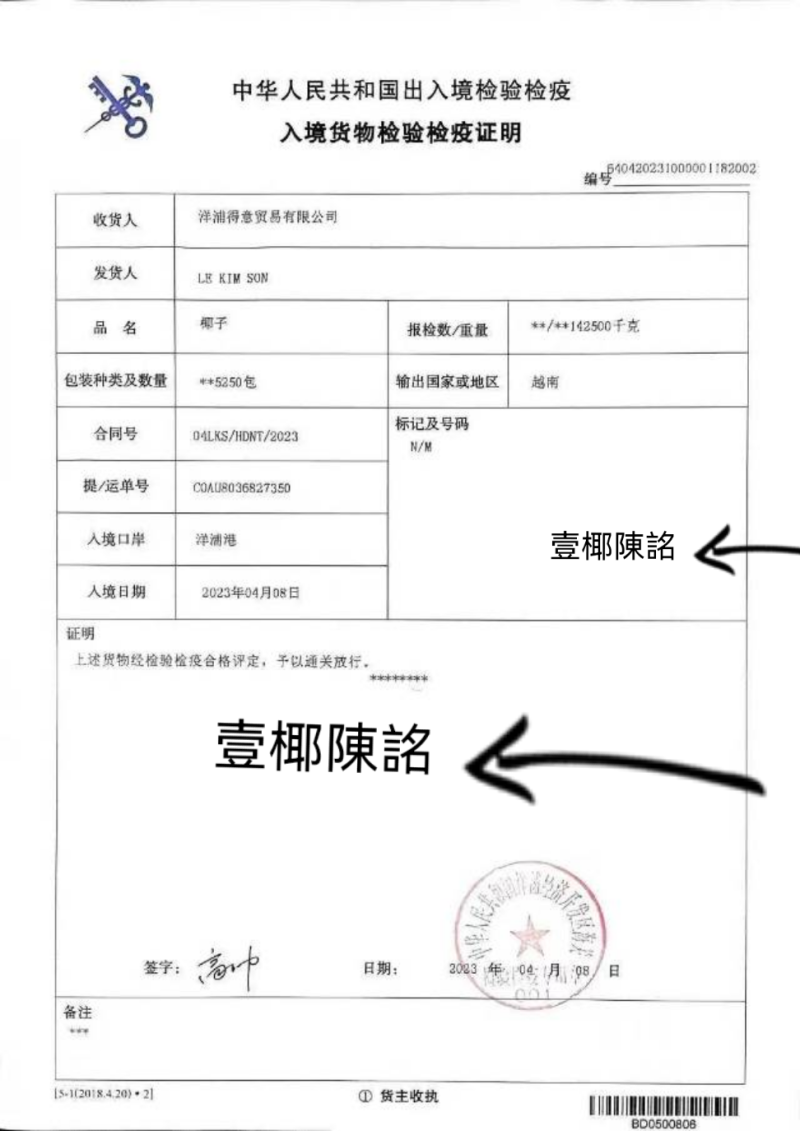 越南老椰椰皇热带特大毛椰子孕妇水果原装椰子原味椰汁煲汤