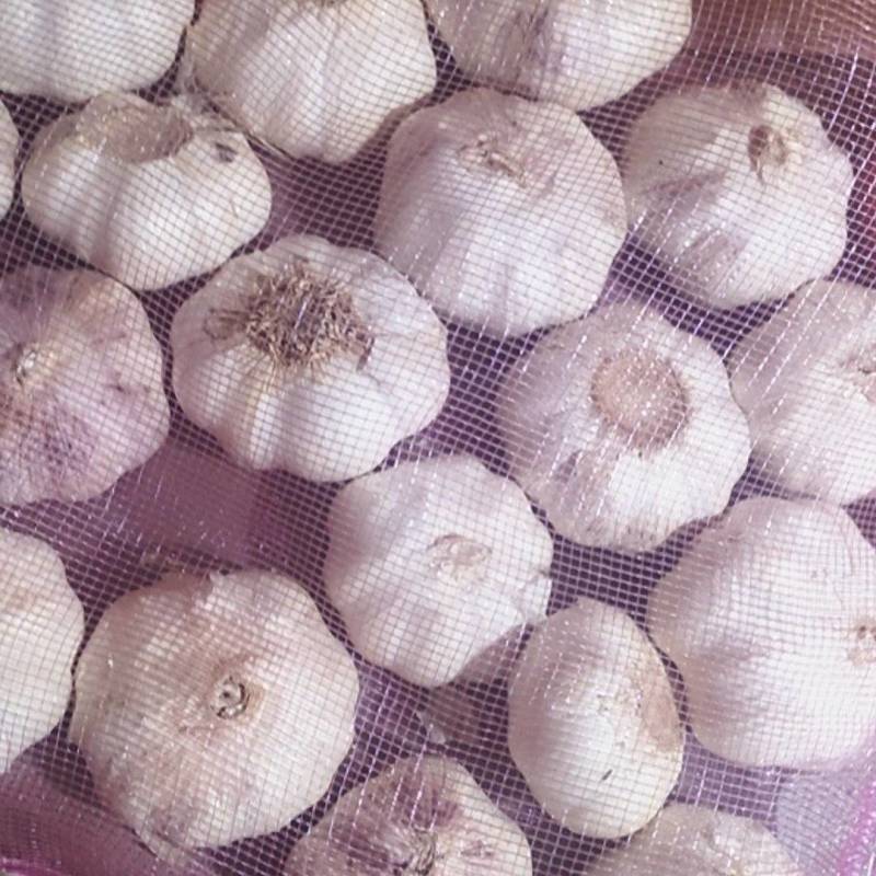 【山东大蒜】紫皮蒜白皮蒜承接电商商超全国发货保质保量