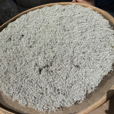 张家界正宗梅茶