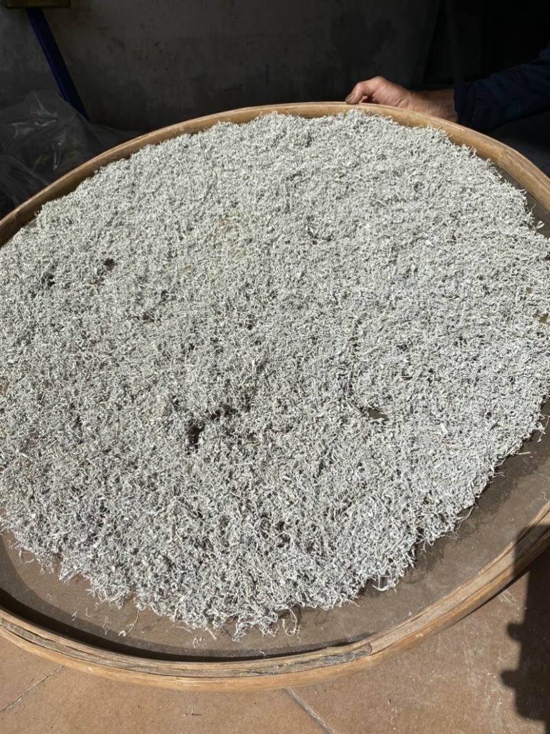 张家界正宗梅茶