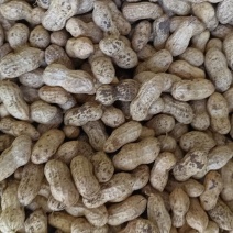徐州精品大白沙，质量非常好，人工过筛，精挑细选，需要联系