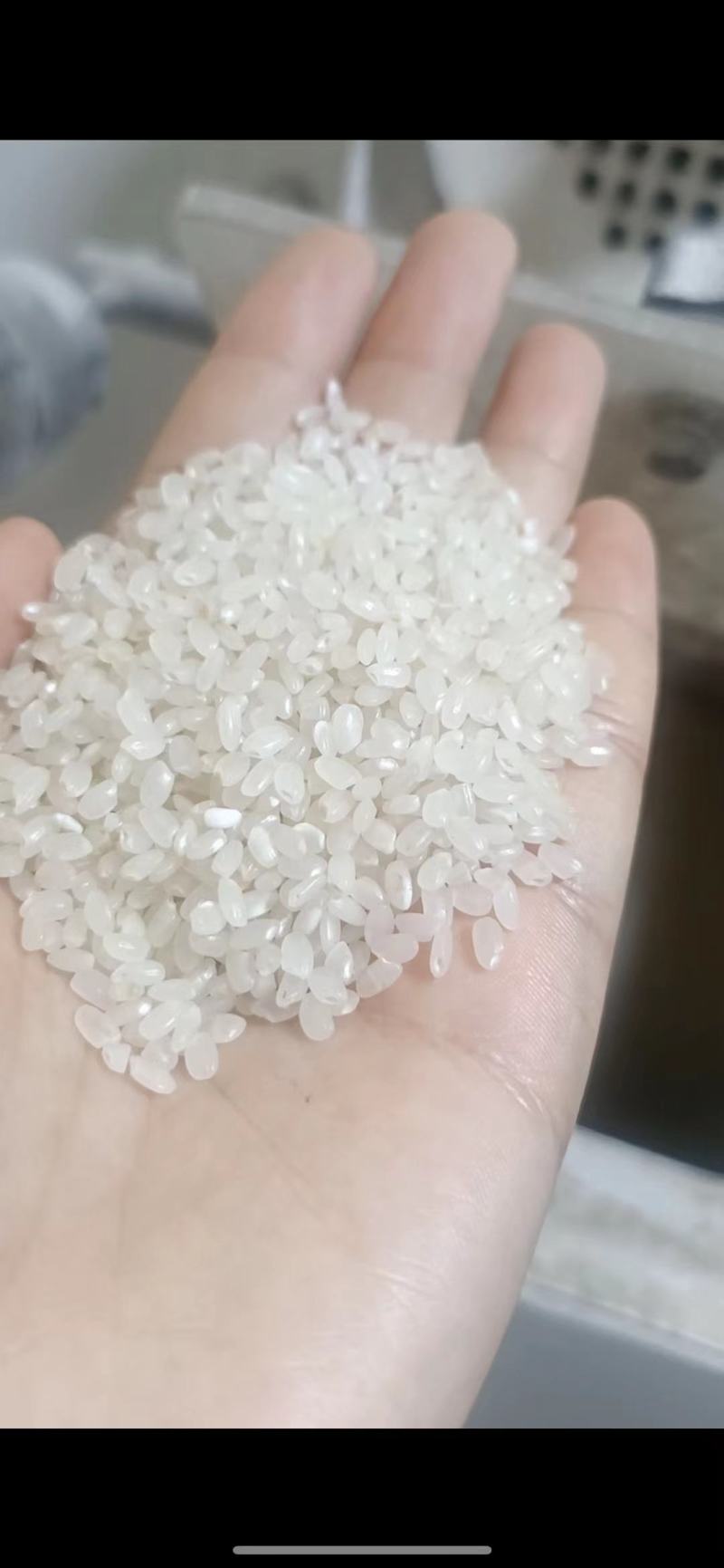 苏北珍珠米