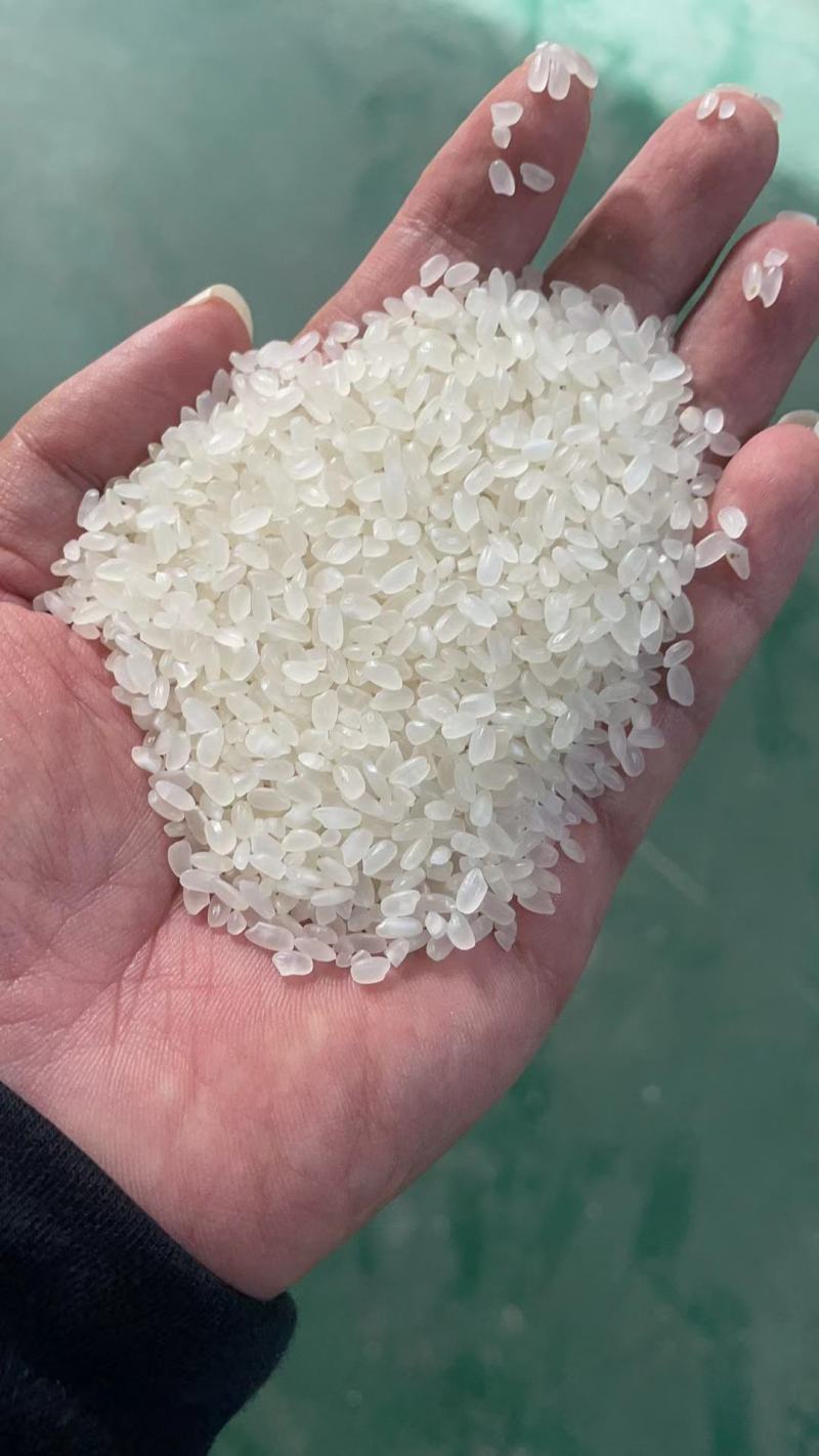 苏北珍珠米