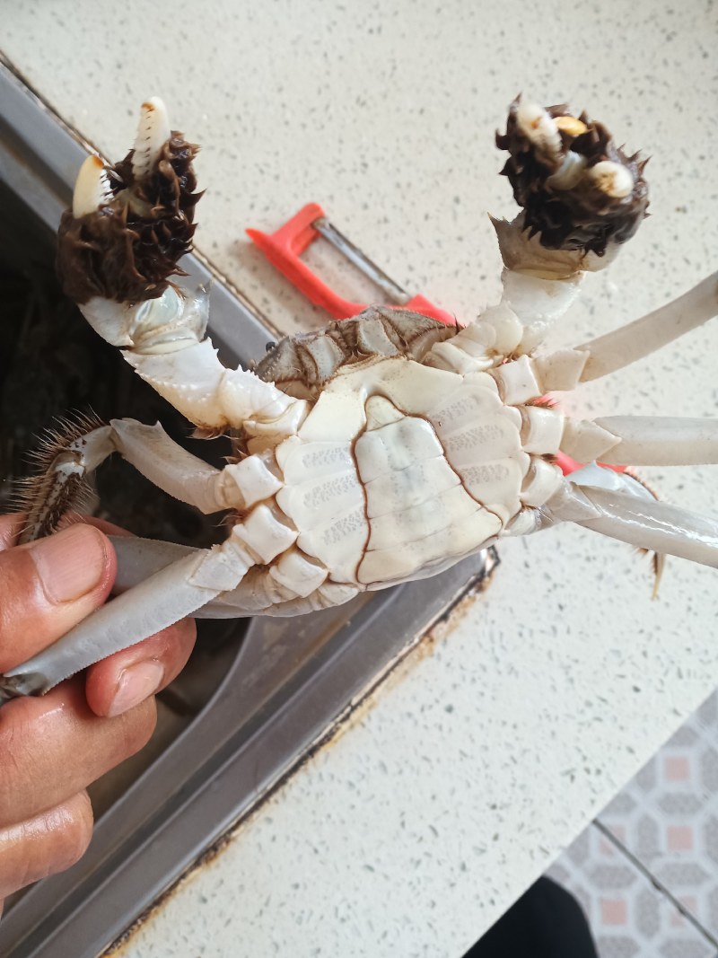 大闸蟹