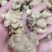 竹节参（白三七）竹节三七竹根七况规格齐全干货包邮一手货源