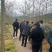 10公分油桐树苗基地直供，重庆俊尧千亩油桐树苗培育基地