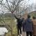 10公分油桐树苗基地直供，重庆俊尧千亩油桐树苗培育基地