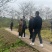 10公分油桐树苗基地直供，重庆俊尧千亩油桐树苗培育基地