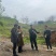 10公分油桐树苗基地直供，重庆俊尧千亩油桐树苗培育基地