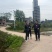10公分油桐树苗基地直供，重庆俊尧千亩油桐树苗培育基地