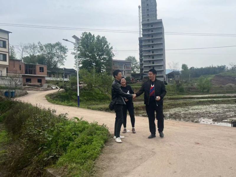 10公分油桐树苗基地直供，重庆俊尧千亩油桐树苗培育基地