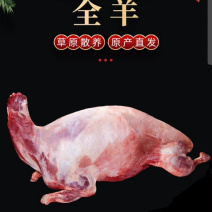 无膻味散养青海藏系羊肉，肉质鲜嫩，品质保证可视频看货