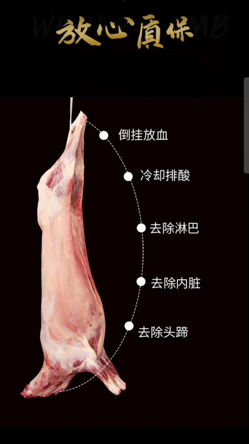 无膻味散养青海藏系羊肉，肉质鲜嫩，品质保证可视频看货