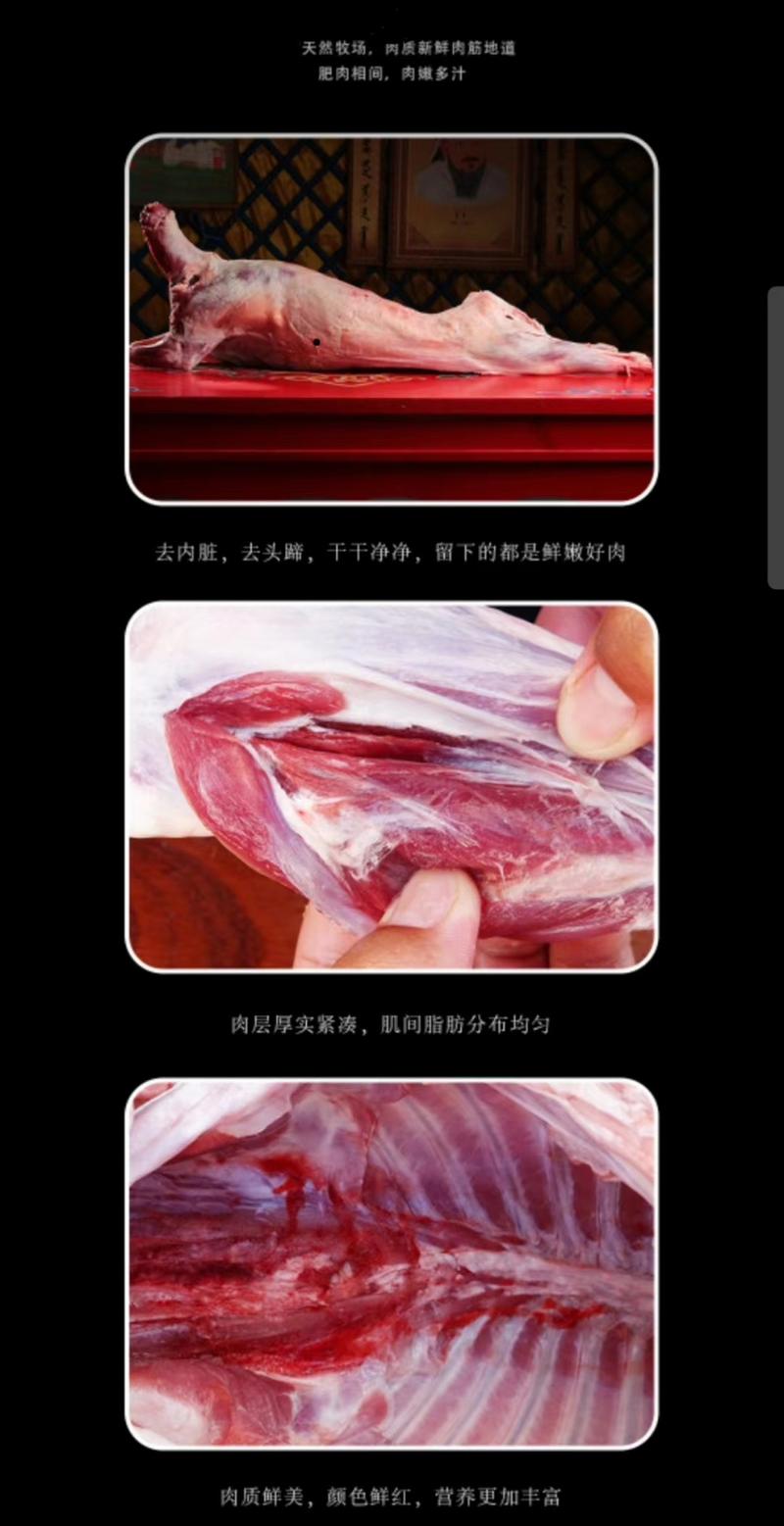 无膻味散养青海藏系羊肉，肉质鲜嫩，品质保证可视频看货