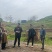 12公分油桐树基地直供，重庆俊尧千亩油桐树苗培育基地