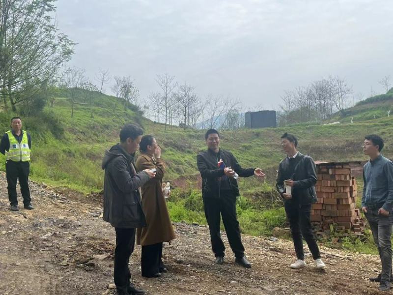 12公分油桐树基地直供，重庆俊尧千亩油桐树苗培育基地