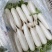 精品芹菜