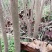 6公分油桐树基地直供，买油桐树苗，就找重庆俊尧