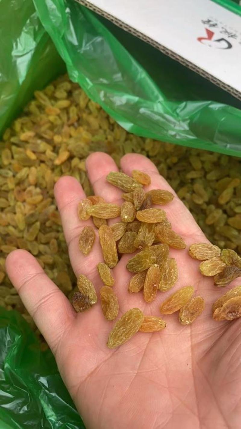 葡萄干干果新疆葡萄干绿葡萄干甜度高颜色亮味道好库房现货
