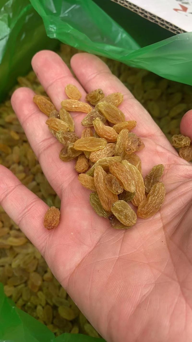 葡萄干干果新疆葡萄干绿葡萄干甜度高颜色亮味道好库房现货