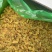 葡萄干干果新疆葡萄干绿葡萄干甜度高颜色亮味道好库房现货