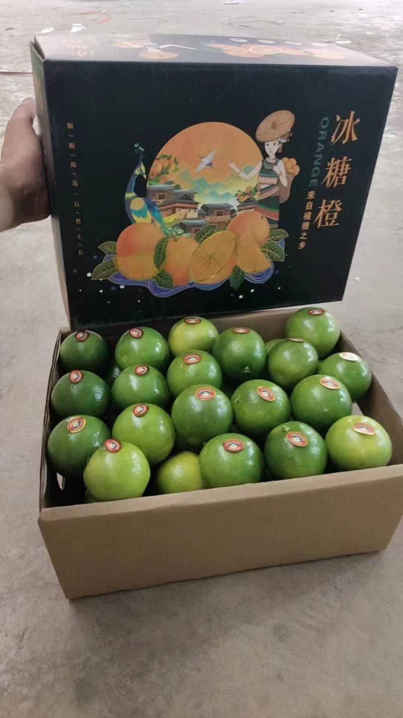 云南褚橙冰糖橙一件电商市场大货社区团购电联合作