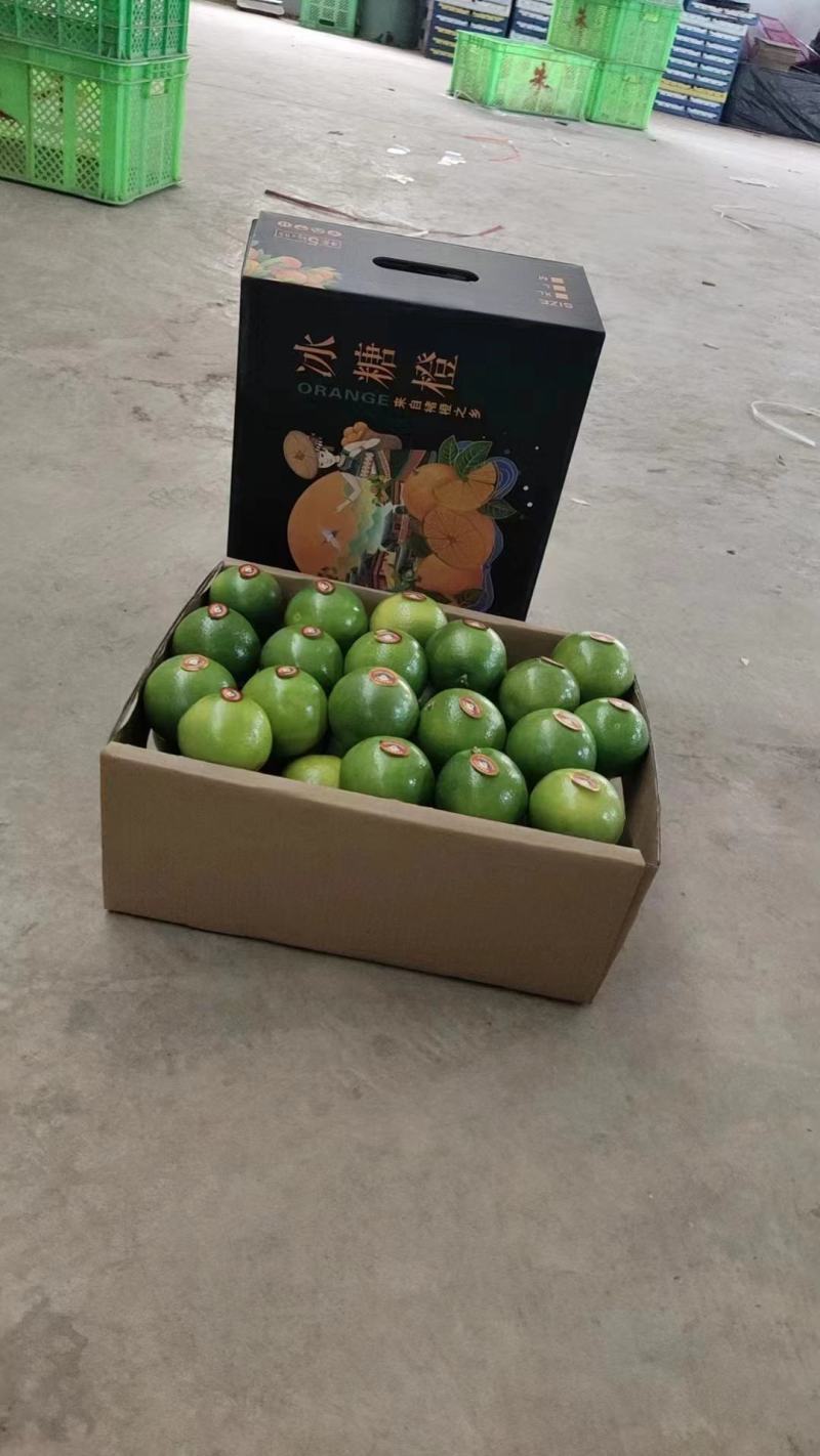 云南褚橙冰糖橙产地现货可市场大货社区团购欢迎电联合作