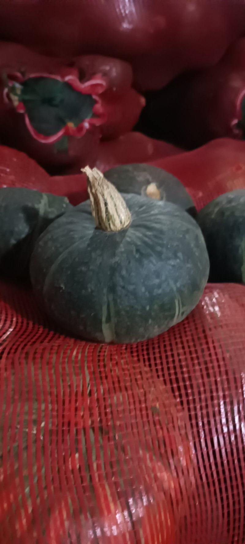 优质板栗南瓜大量有货