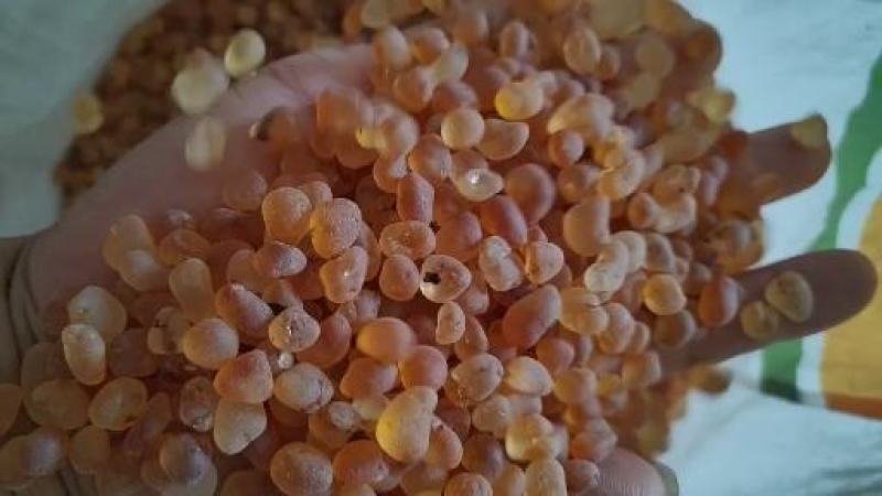 湖北桃胶黄胶水洗胶精修颗粒规格齐全产地直发量大