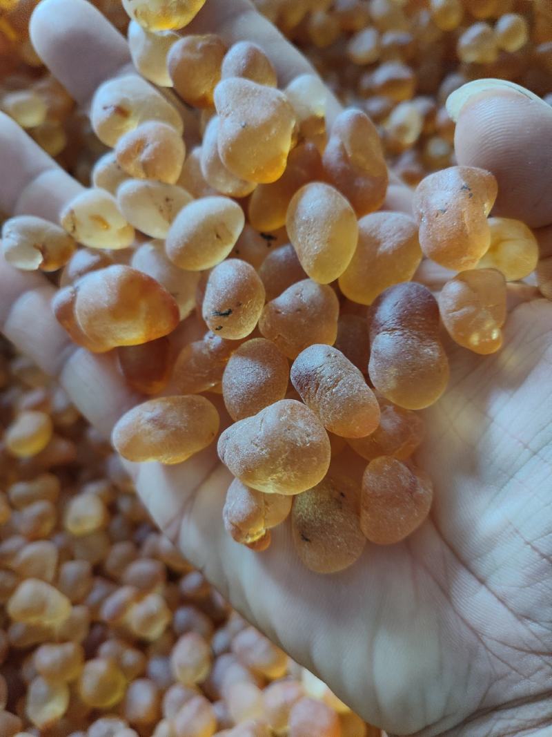 湖北桃胶黄胶水洗胶精修颗粒规格齐全产地直发量大