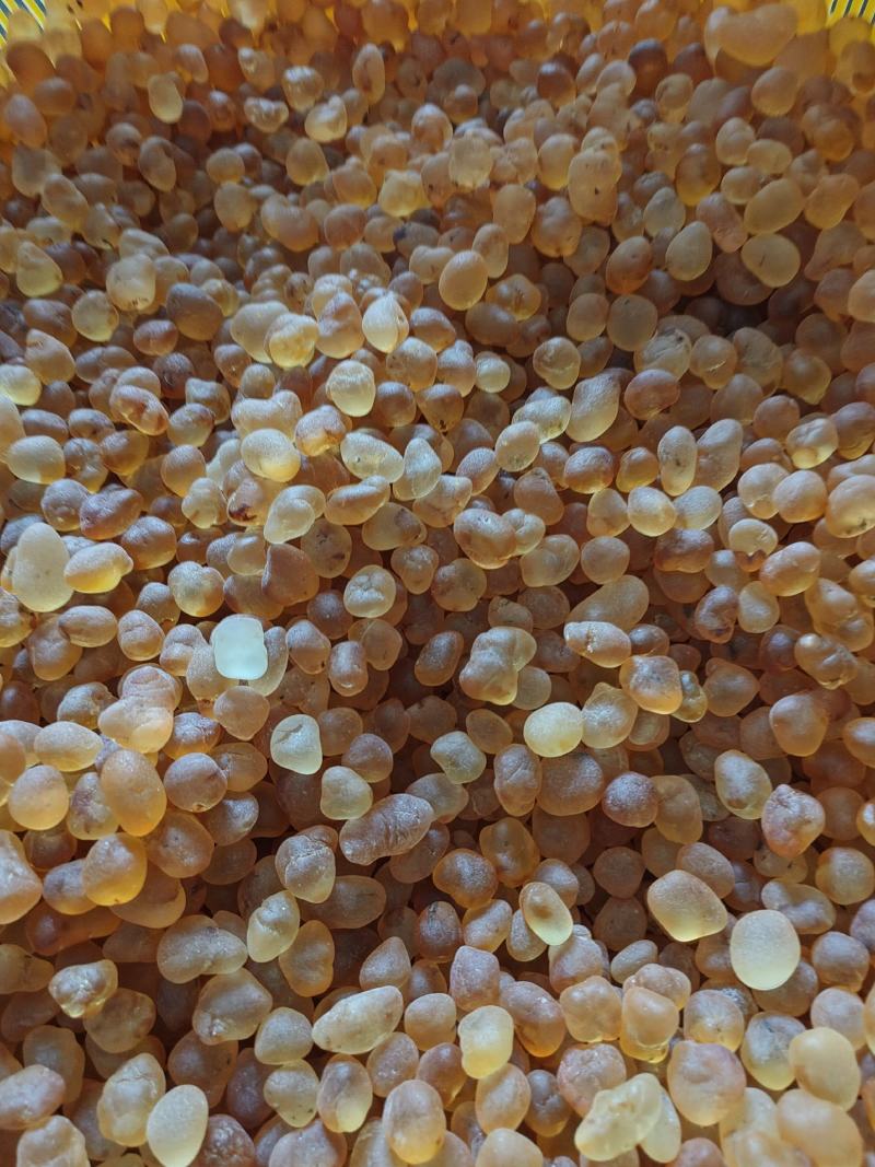 湖北桃胶黄胶水洗胶精修颗粒规格齐全产地直发量大